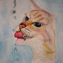 Gato y agua. Watercolor Painting project by Zaida Olvera - 08.26.2019