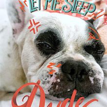 Let me sleep dude - Caez. Lettering project by czarparra - 08.27.2019