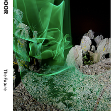Red Door: My project in Design and Construction of a Magazine course. Un progetto di Graphic design di Elizabeth Torres - 28.05.2019