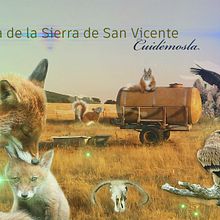 fauna de navamorcuende. Digital Photograph project by murphyalex_7 - 08.31.2019