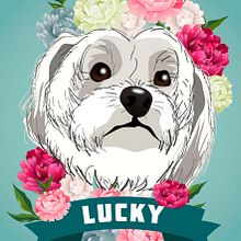 Retrato canino.  project by Raquel Contreras Recio - 08.30.2019