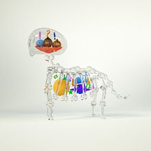 Meu projeto do curso: Desenho de personagens 3D em movimento. Un progetto di 3D di Fabricio Marques - 30.08.2019