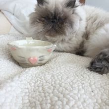 Mi Proyecto del curso: Cerámica creativa: da forma a tus ideas con una técnica artesanal. Een project van Keramiek van Mariajosé Alemán Rosas - 31.08.2019