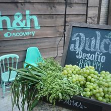 Discovery Home & Health. Sketching, Br, ing, Identit, Calligraph, Creative Consulting, Decoration, Art Direction, Design, Poster Design, Set Design, Advertising, T, and pograph project by TECK24 - 09.08.2019