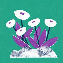 Mosquera de Tamadaba Ein Projekt aus dem Bereich Traditionelle Illustration von Lore Mondragón - 31.05.2019