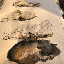 MIS GATOS, una tarde de siesta limeña. Projekt z dziedziny  R, sunek, Trad, c i jna ilustracja użytkownika mariella mujica - 08.09.2019