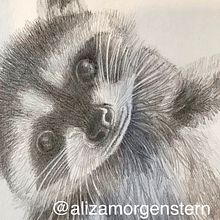 Dibujo a lápiz Ein Projekt aus dem Bereich Bleistiftzeichnung von Aliza Morgenstern - 11.09.2019
