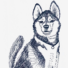 Balance y Equilibrio Ein Projekt aus dem Bereich Artistische Zeichnung von Aliza Morgenstern - 11.09.2019