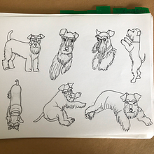 Minidibujos Ein Projekt aus dem Bereich Artistische Zeichnung von Aliza Morgenstern - 11.09.2019