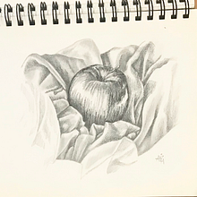 Dibujo del natural Ein Projekt aus dem Bereich Artistische Zeichnung von Aliza Morgenstern - 11.09.2019