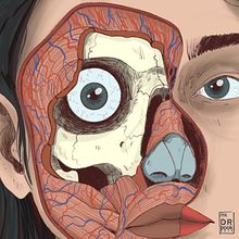 Anatomía . Un projet de Illustration numérique de Daniel Rivas Morales - 11.09.2019