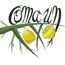 coma un toxo . Calligraph, Creativit, Graphic Design, and Digital Illustration project by Xulia Nieto Pereira - 11.10.2017