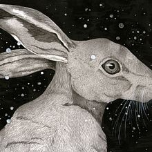 Fauna Cósmica. Traditional illustration project by Sharon Barcs - 09.13.2019