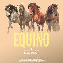 EQUINO. Concept Art, Direção de arte, Design de calçados, Design de moda, Design de produtos, Design gráfico, e Design industrial projeto de Danielo Campbells - 13.09.2019