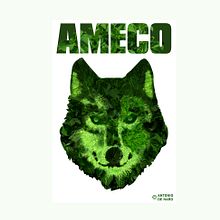 AMECO LOGO / DISEÑO CAMISETAS. Un proyecto de Ilustración tradicional de Antonio de Haro Garzón - 19.09.2019