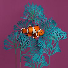 Pez payaso. . Un progetto di 3D, Animazione, Animazione 3D, Animazione di personaggi, Belle arti, Scenografia, Scrittura e Papercraft di Diana Beltran Herrera - 20.09.2019