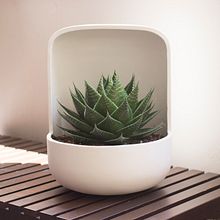 Colección Essencials . Een project van Craft, Keramiek,  Interieurdecoratie y Productontwerp van Xènia Bas - 20.09.2019