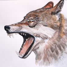 Animales en acuarela. Projekt z dziedziny Malowanie akwarelą użytkownika Luis Alvear - 22.09.2019