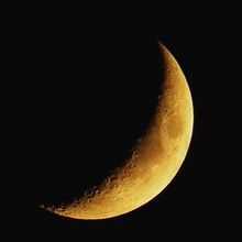 Pequeña selección.. Design, and Traditional illustration project by celia díaz - 09.23.2019