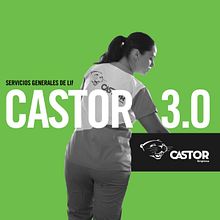 Castor. Br, ing, Identit, Graphic Design, Web Design, Motion Graphics, and Social Media project by Levulevú - 09.24.2019