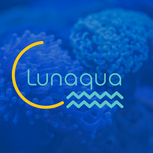Branding. Graphic Design project by Silvina Privitera - 09.24.2019