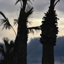 Mi Proyecto del curso: Introducción a la fotografía digital. Een project van Fotografie van Sandra Gomez Lopez - 01.03.2019