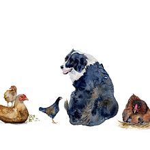 farm animals. Watercolor Painting project by Cindy Hogan - 09.29.2019