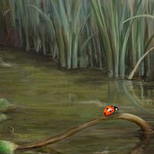 Mariquita. Un proyecto de Ilustración tradicional de Juan María Algaba Martínez - 08.05.2022