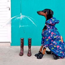 Mi Proyecto del curso: Fotografía profesional para Instagram La Boutique de Amelie. Un progetto di Fotografia di prodotti di Daniela Alejandra Poveda Gomez - 03.10.2019