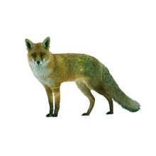 Doble Exposición . Design grafic de Roberto Muñoz - 10.03.2019