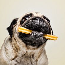 Snackys Dent. Un projet de Photographie de produits de Santos Román - 04.10.2019