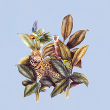 HISTORIA NATURAL. Un proyecto de Ilustración tradicional y Pintura a la acuarela de Paulina Maciel · Canela - 04.10.2019