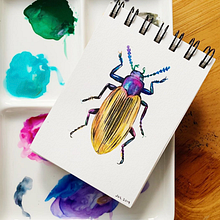 DIARIOS - MIS INSECTOS. Un proyecto de Ilustración tradicional y Pintura a la acuarela de Paulina Maciel · Canela - 04.10.2019
