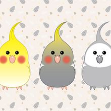 Diseño de personajes y patterns inspirado en el mundo de los loros de compañía Ein Projekt aus dem Bereich Vektorillustration von Silvia Morés - 05.10.2019