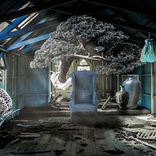 Mi Proyecto del curso: Secretos del fotomontaje y el retoque creativo . % Eldy Pérez tarafından hazırlanan Grafik Tasarım projesi - 10.06.2019