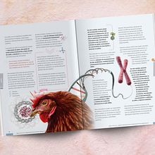 REVISTAS DEL SECTOR AGRÍCOLA. Editorial Design project by Ana Lorena Ríos de la Llave - 10.07.2019