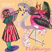 Proyecto Personal- Don't cry flamingo. Collage, Concept Art, Creativit, Design, Graphic Design, and Digital Illustration project by apsaras_david - 10.07.2019
