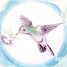 Hummingbird Ilustración grafito-acuarela  . % Angela B tarafından hazırlanan Geleneksel illüstras, Ve on projesi - 10.09.2019