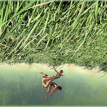 Collages Isidora Bailly Ein Projekt aus dem Bereich Animation von María Isidora García-Cabezón García Bailly - 11.10.2019