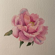 Mundo vegetal. Un projet de Aquarelle de Ana I. Pérez Alonso - 17.10.2019