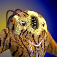 AlienFur - Ejercicio en Xgen. 3D Modeling project by Rubén Roldán Crespo - 10.14.2019