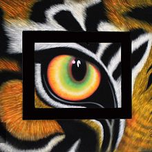 Ojo de Tigre Prismacolor / Acrílico. Painting project by Jobana Vazquez Jasso - 10.15.2019