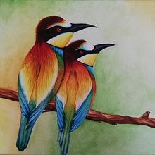 Birds - Acuarela. Watercolor Painting project by Jobana Vazquez Jasso - 10.15.2019