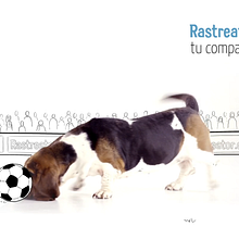Rastreator 6K. Un progetto di Video di Sergio Marquez - 13.01.2020
