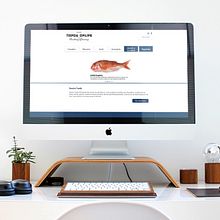 Tienda Online - Pescaderías Coruñesas . Design și Design web de Jesús Valle - 02.19.2018