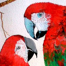 Loros. Un progetto di Pittura acrilica di Lesli Zapata Sánchez - 17.10.2019