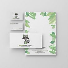 Raccoon Visual Studio. Br, ing & Identit project by Aitor Guidet - 10.18.2019