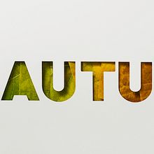 Autumn palette. Art Direction, Photograph, and Lettering project by cactusoup - 10.18.2019