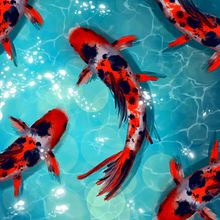 Koi Carp Illustration. Un proyecto de Bocetado, Dibujo, Ilustración tradicional e Ilustración digital de Leyre Cerezquita - 22.10.2019