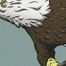 "Skull and Eagle" poster. Projekt z dziedziny Projektowanie graficzne, Trad, c, jna ilustracja, Ilustracja c, frowa i Ilustracje dla dzieci użytkownika Marco Boetti - 24.10.2019